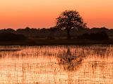 Africa 005 : Africa, Botswana, Delta, Landscape, Morning Glow, Nature, Okavango, Vumbura Plains